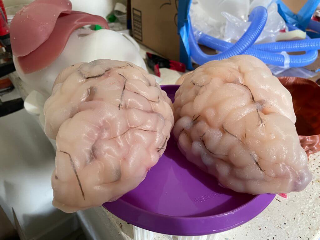 Cured cast of brain halves