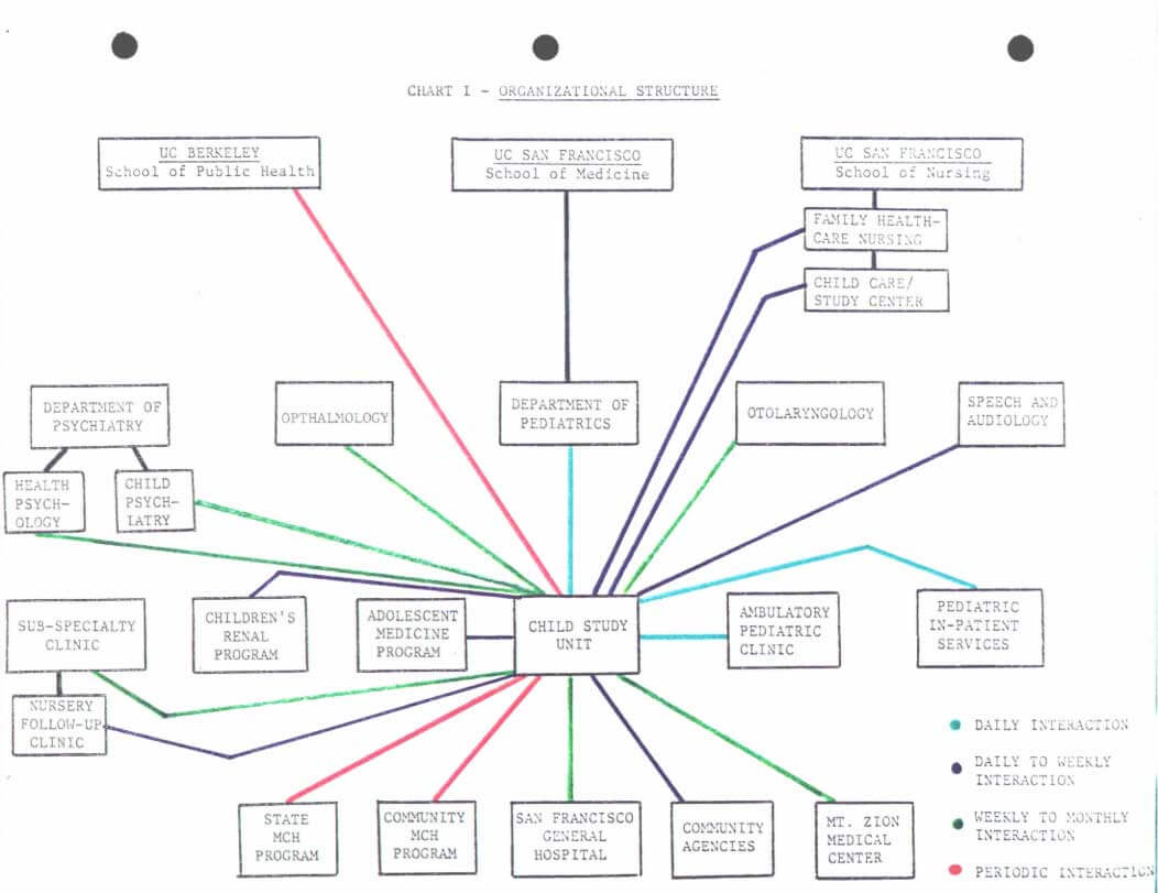 Organizational Structure