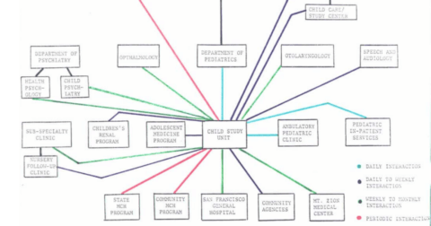 Organizational chart depicting California State University’s relationships with other healthcare services.